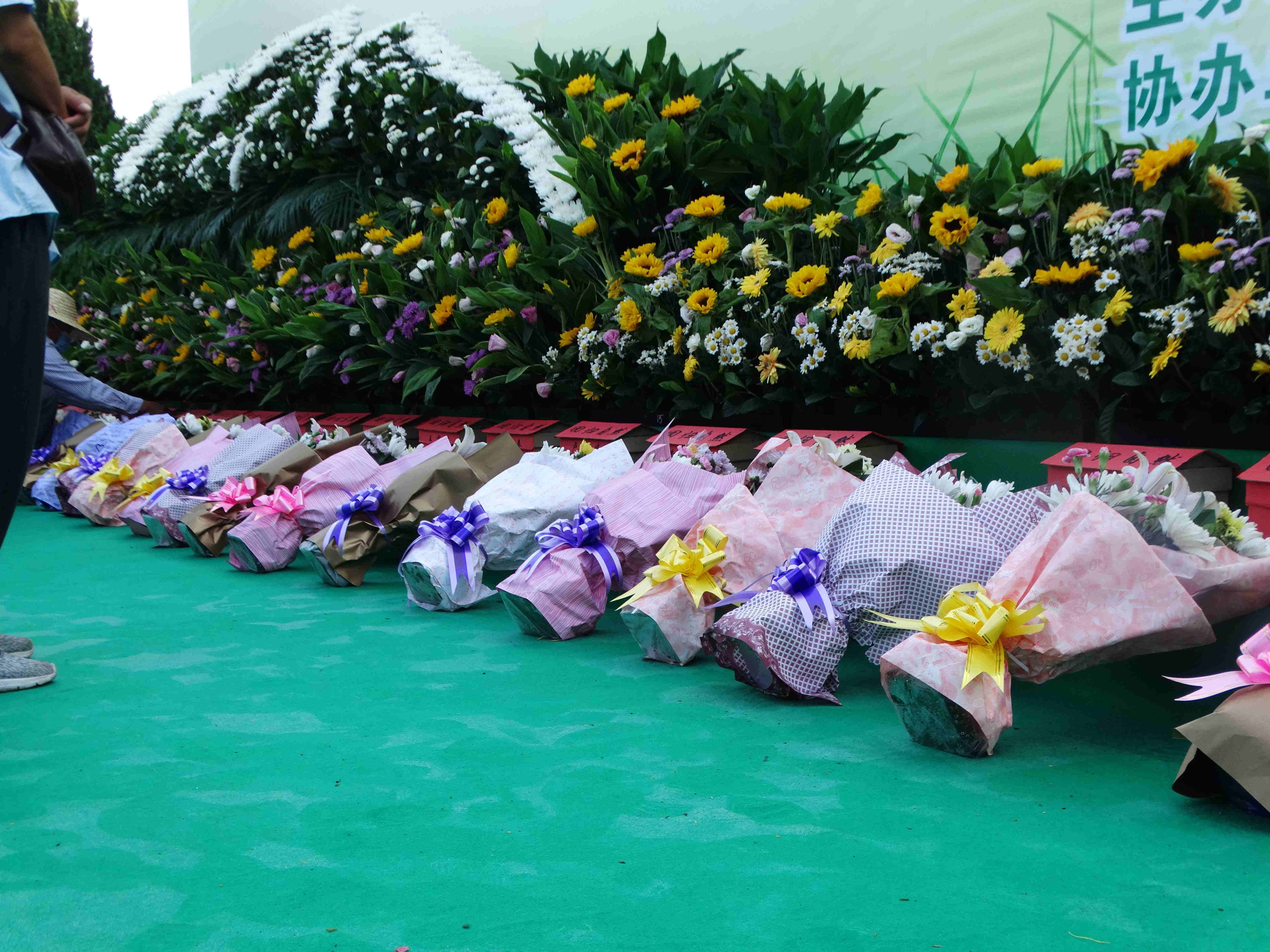 南岸区江南殡仪馆_惠东县殡仪馆举办骨灰免费集体树葬活动，让生命回归自然 第1张
